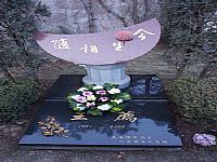 照片