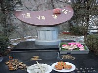 照片