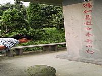 照片