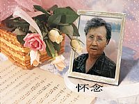 照片