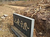 照片