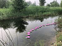 照片