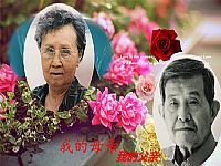 照片