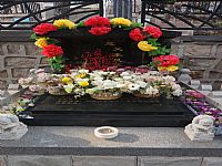 照片