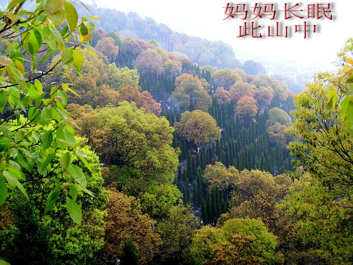 照片
